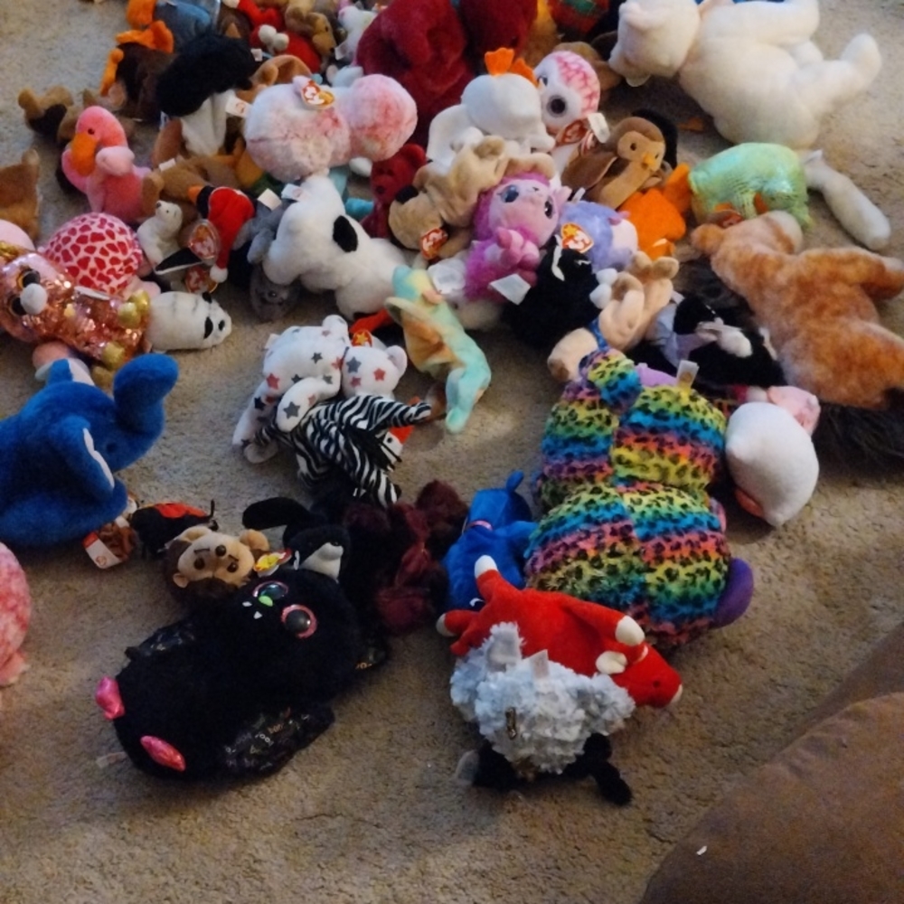 Decluttering - Picture 4 of 4